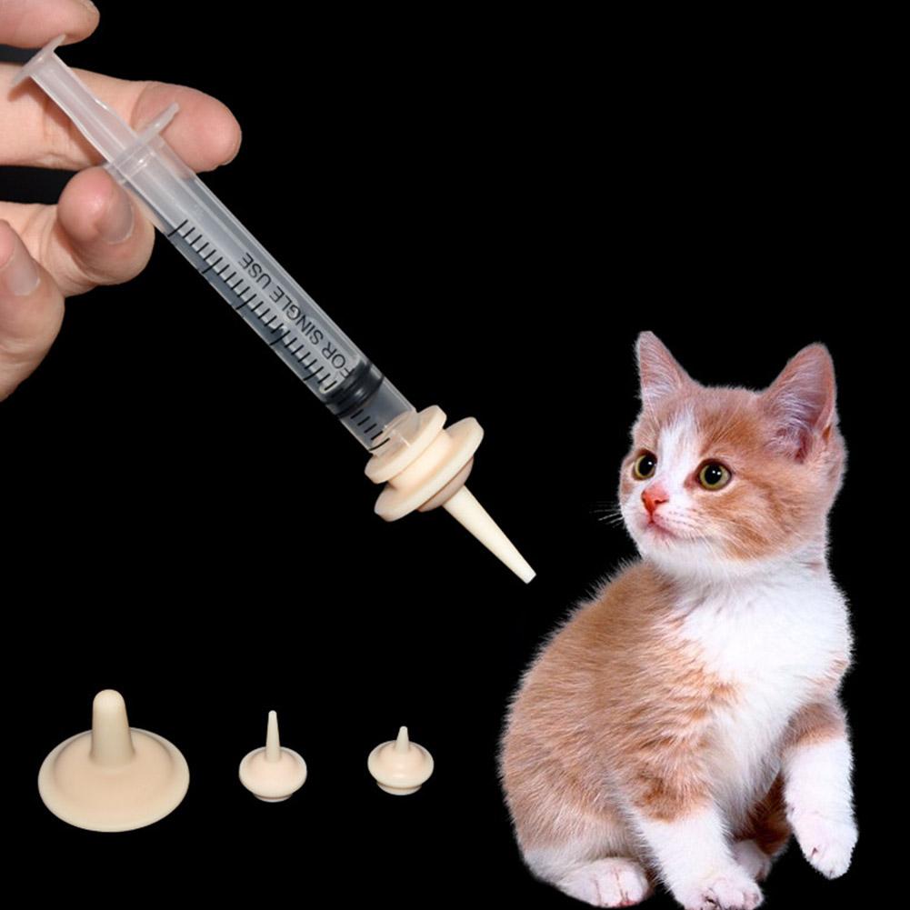 Food Grade Soft Silicone Dogs  - Baby Food Cat recension och pris