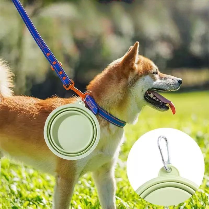 Foldable Pet Bowl, Portable Tr - Baby Food Cat recension och pris